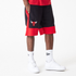 New Era NBA Colour Block Short Chicago Bulls