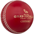 Gray Nicolls Crown 2 Star Ball
