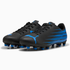Puma Junior Attacanto II FG