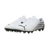 Puma Adults Attacanto II FG