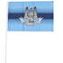 Dublin Medium County Flags (3x2 With Stick)